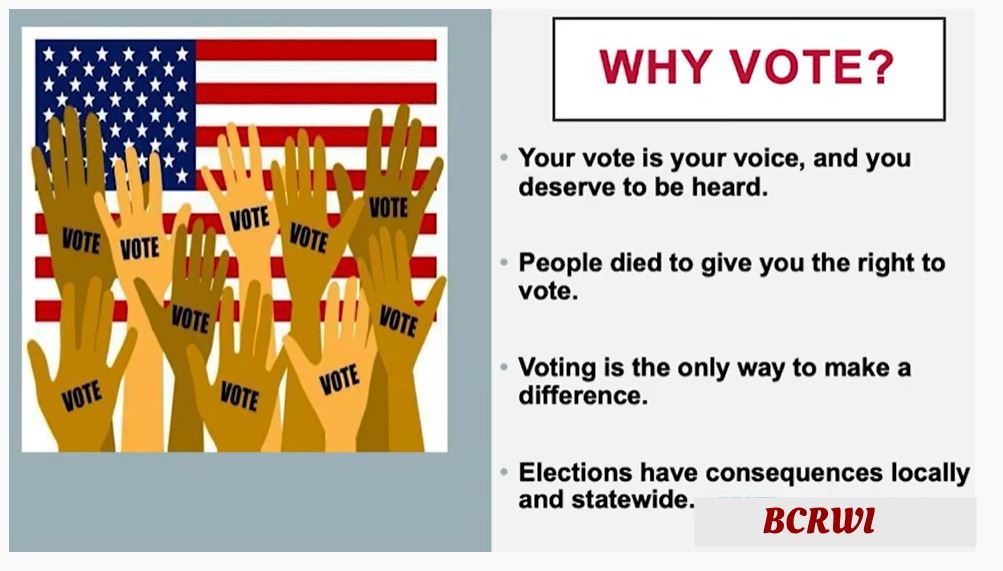 Why Vote?